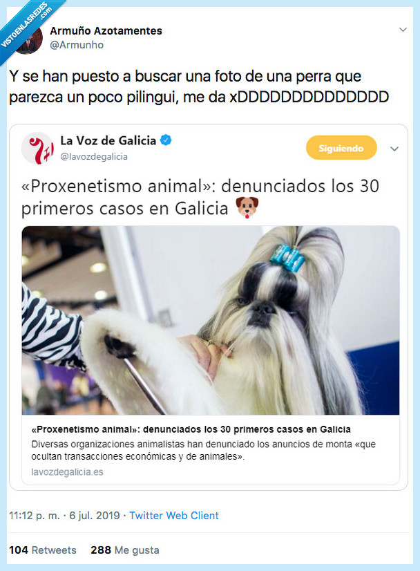 perro,proxenetismo anifal,pilingui