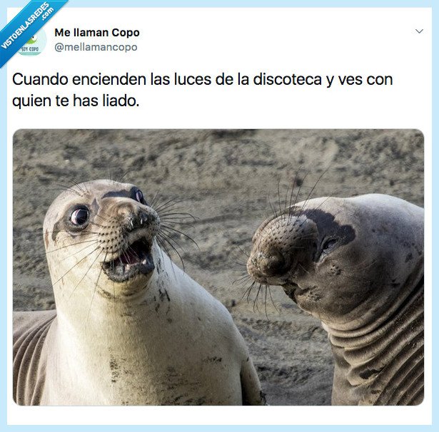 Sorpresa,discoteca,amor,fiesta,party