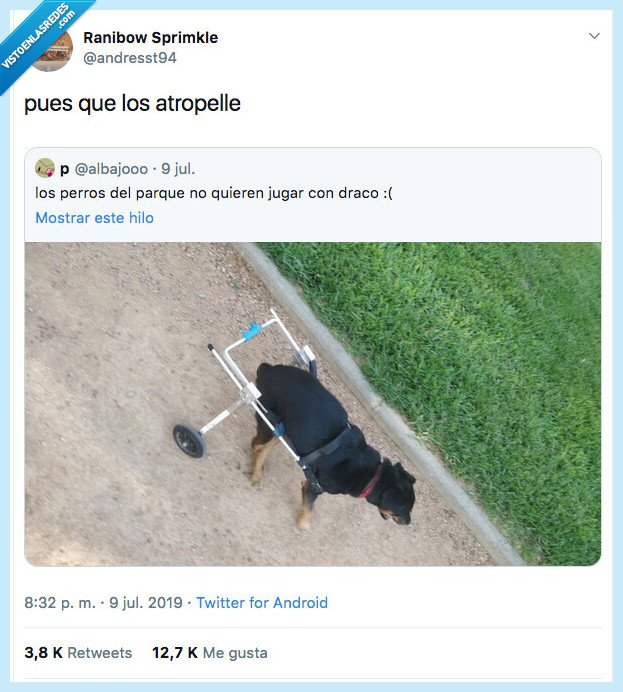 draco,pasar,inútiles,jugar