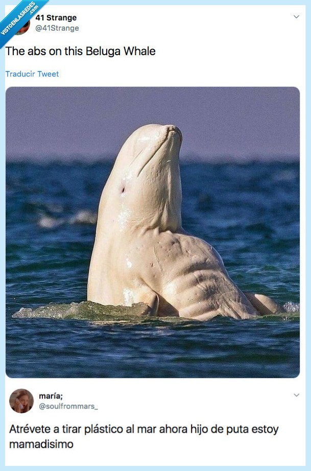 plástico,mar,mamadísimo,abdominales