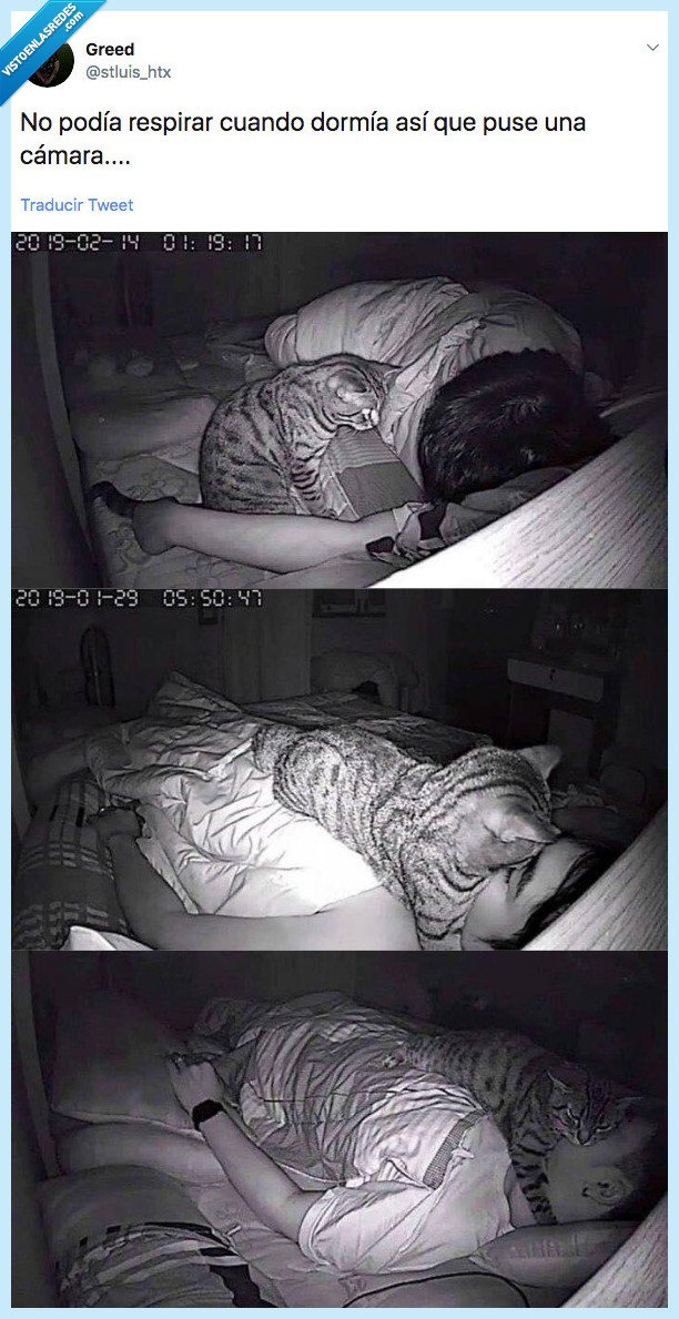 descubrir,respirar,cámara,seguridad