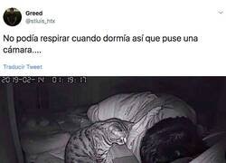Enlace a Descubre tras instalar una cámara da seguridad porque no respira por la noche, por @stluis_htx