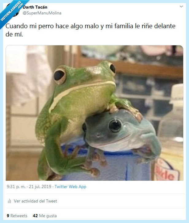 perro,familia,re&ntilde;ir