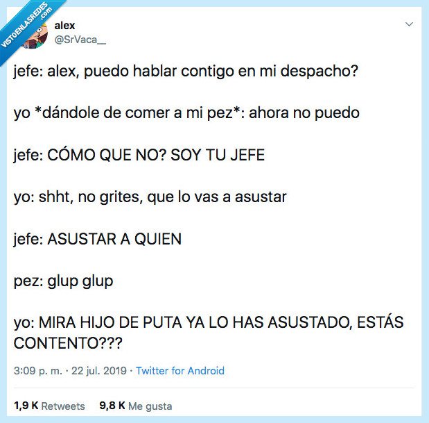 SrVaca__,jefe,pez,malo