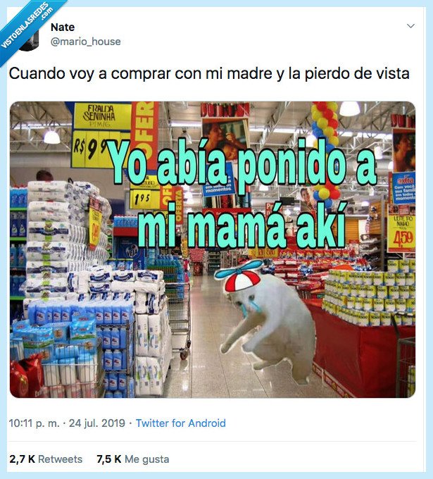 poner,mama,gato,supermercado,perder