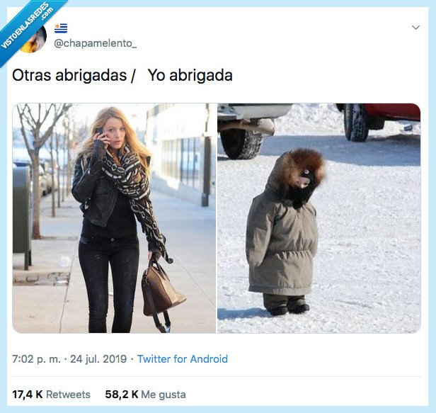 abrigar,otras,yo,soy un desastre