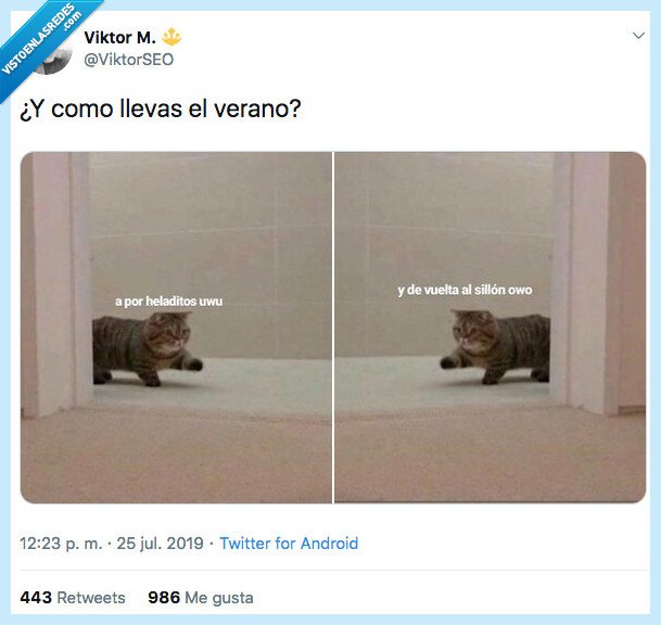 realidad,verano,comer y sofá