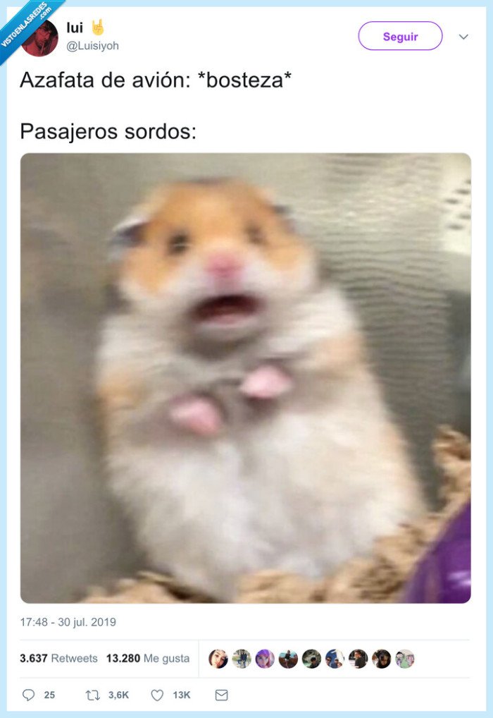 caos,avión,bostezo,azafata,sordos