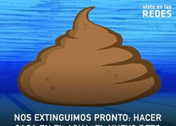 Enlace a Nos extinguimos pronto: Hacer caca en el agua: el nuevo reto viral que amenaza a las piscinas valencianas