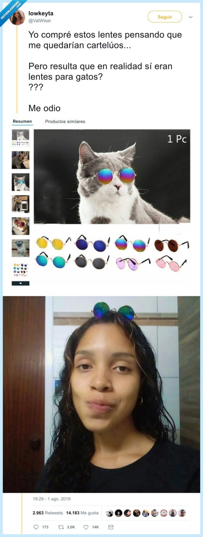 gafas,fail,gatos