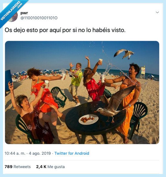 fotos,mirar,apasionar,ver