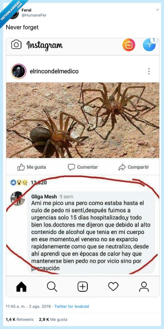 sano y salvo,pedo,verano,arañas