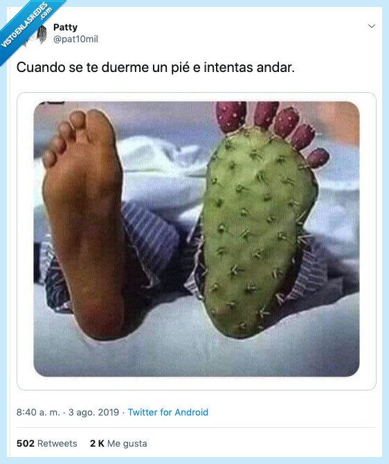 reflejar,pie,dormir,andar