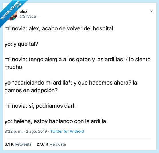 elena,interrumpir,ardilla,sr vaca