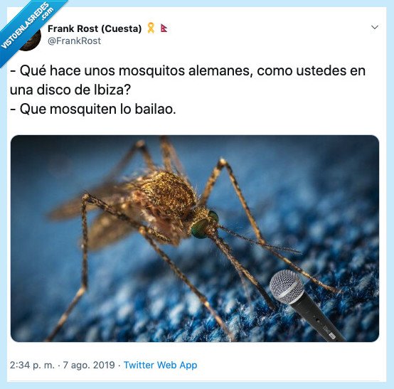 mosquito,mosquitenlobailao,mosquitos alemanes