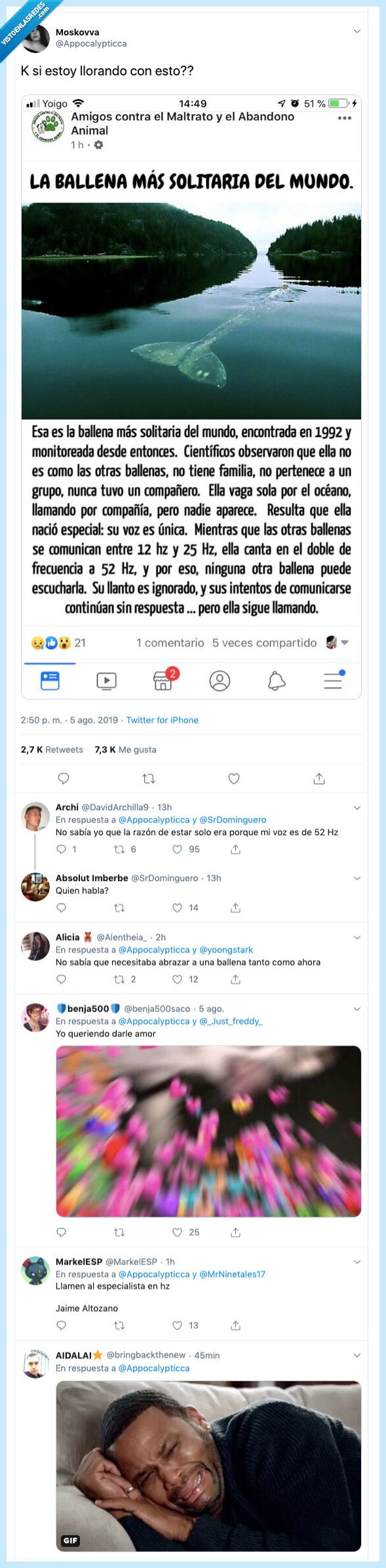 historia,ballena,solitaria,mundo,triste historia