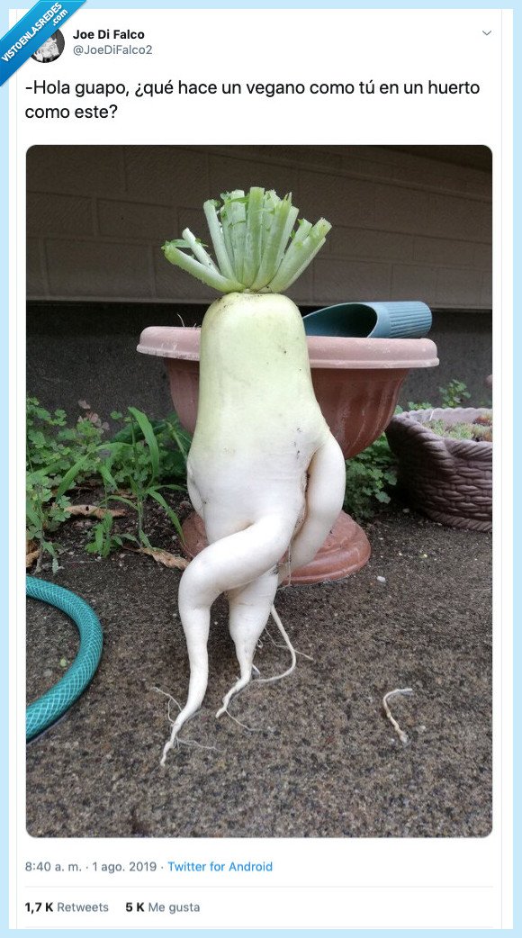 nabo,ojillos,vegano,seduccion