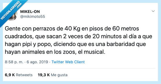 musical,perro,animales,zoo