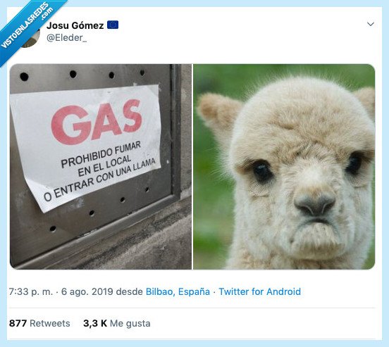 llama,club no llama,sad llama