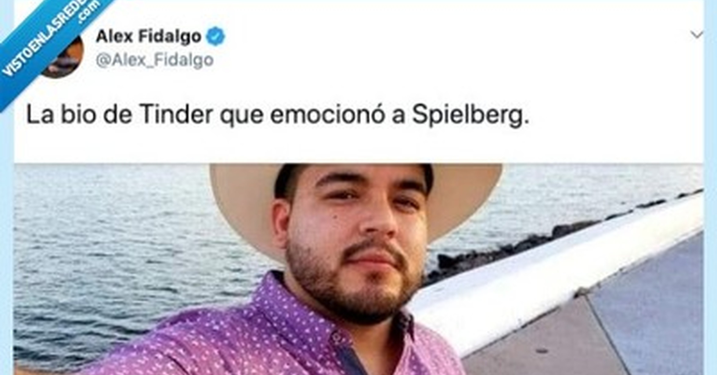 Vef Visto En Las Redes Hemos Encontrado La Bio De Tinder Que Emocionó A Spielberg Lo Haría 