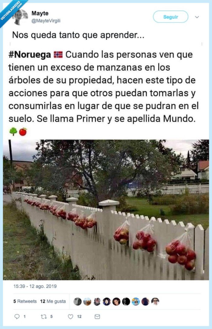 manzanas,gratis,valla,jardín,regalo