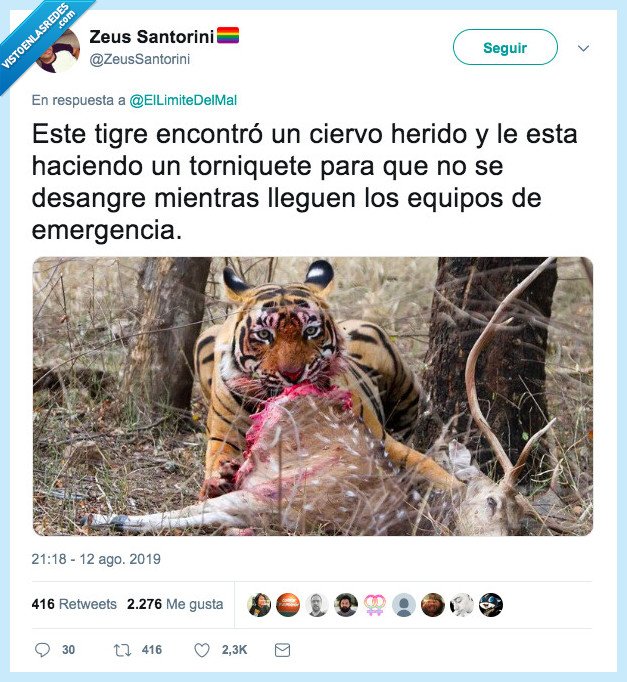 tigre,ciervo,torniquete,ayudar