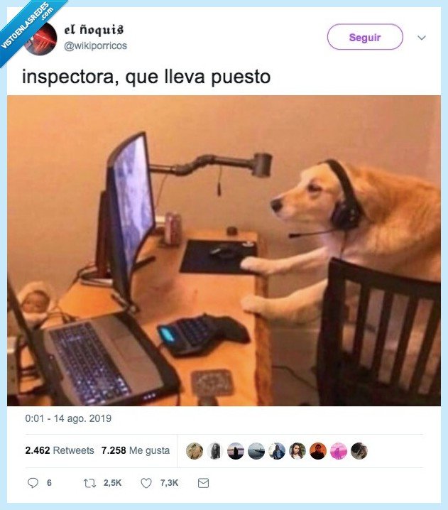profesor,casa de papel,perro
