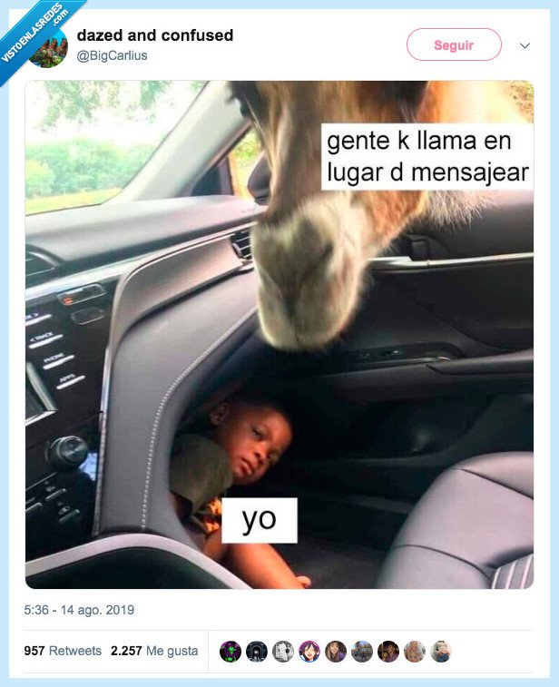 camello,coche,esconderse,whatsapp,mensajear,mensajes de voz