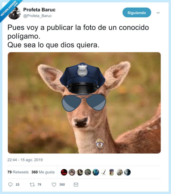 gamo,polic&iacute;a,poligamo