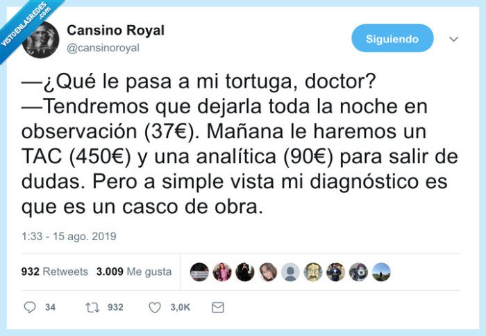 veterinario,caro,pasta,dinero