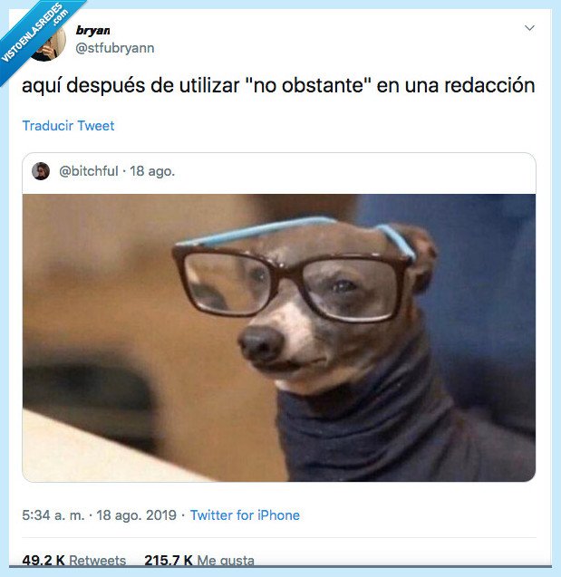 palabras,redaccion,no obstante,palabra,perro