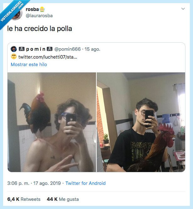 literal,crecer,picha