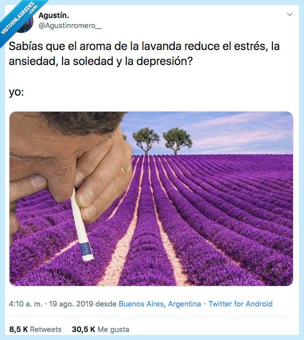 lavanada,llenar,macetas,depresion,ansiedad