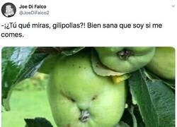 Enlace a ANGRY APPLE, por @JoeDiFalco2JoeDiFalco2