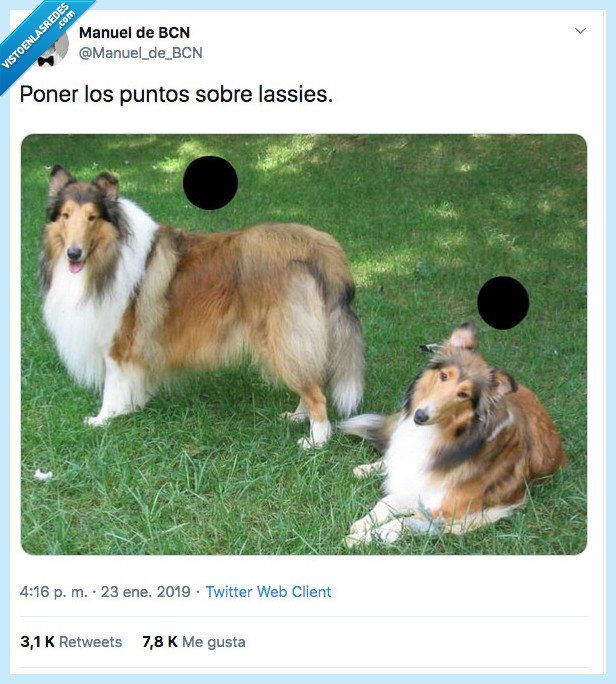 lassie,punto,ingenioso pero un poco penoso
