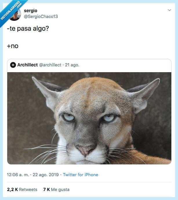 bicho,decir,pasar algo