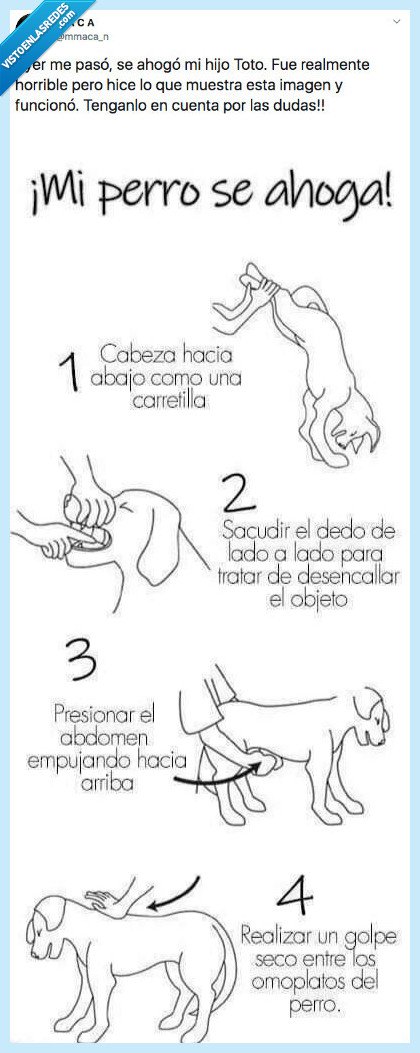 persona,perro,ahogar,maniobra