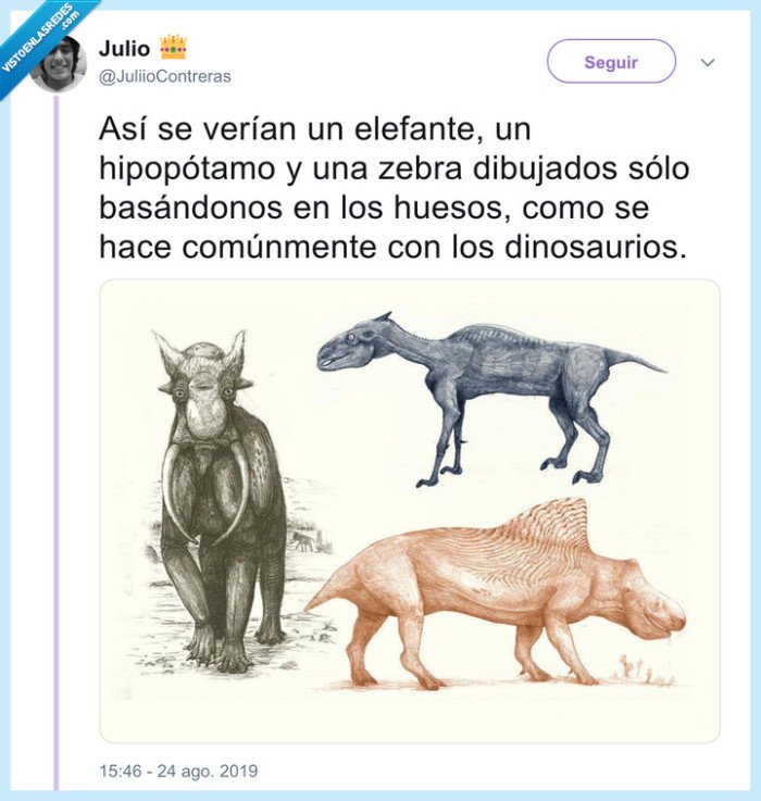 jurassic park,huesos,animales