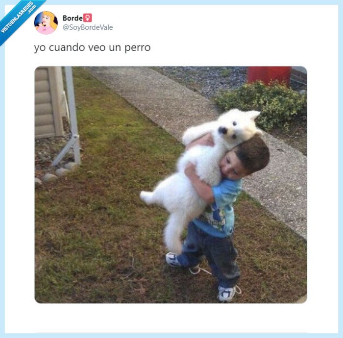 perros,amigos,familia,amor