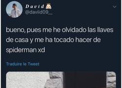 Enlace a Si es que no se puede ser tan tonto, en serio....