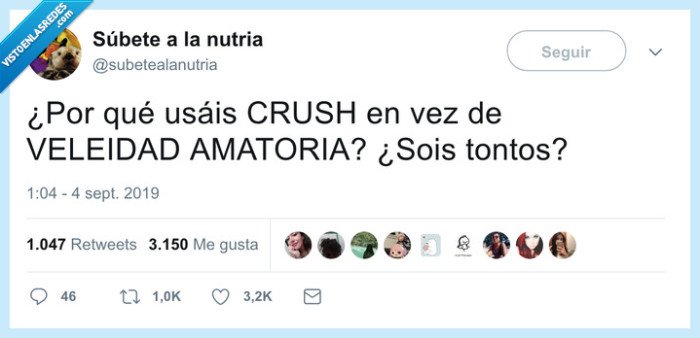 crush,basta
