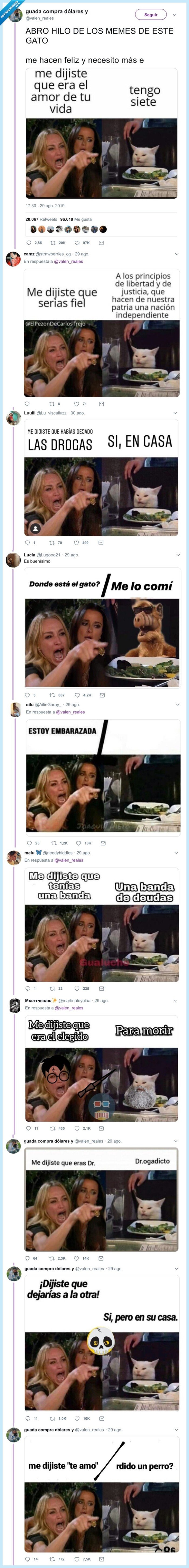 meme gato cabreado,recopilación,memes,smudge_lord