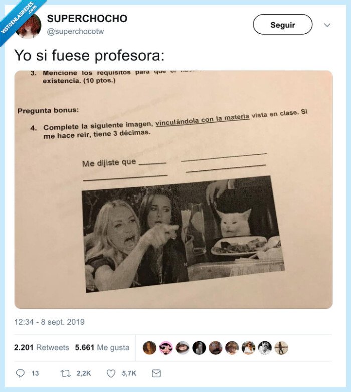 meme,gato blanco,profesor,examen