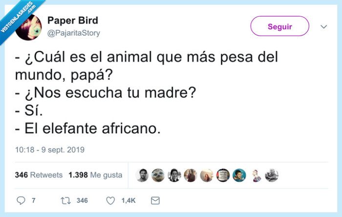 madre,pesado,animal,elefante