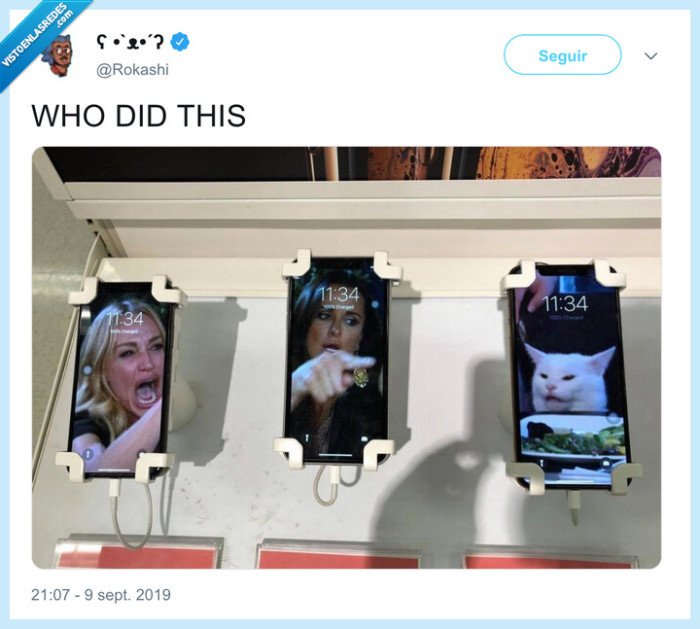 gato blanco,móviles,meme