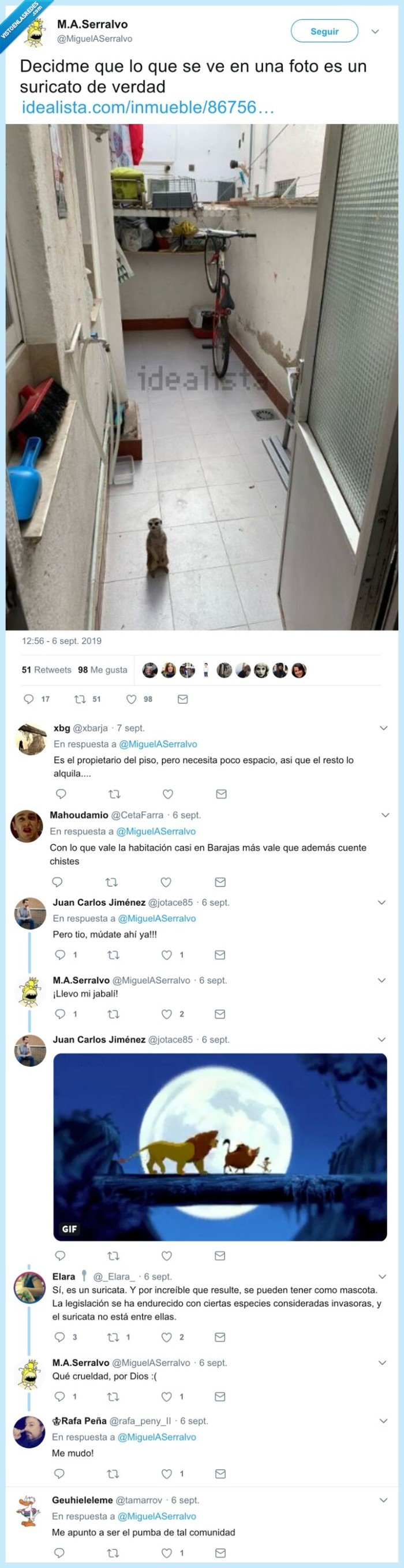 suricata,piso,idealista