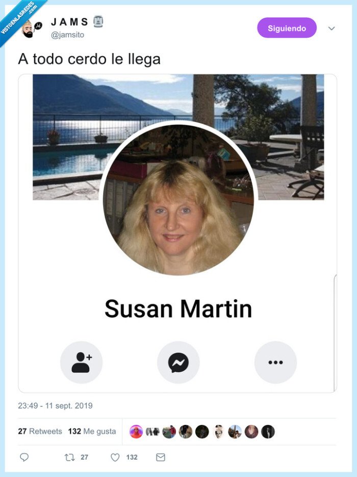 san martín,cerdo,llegar,susan martin