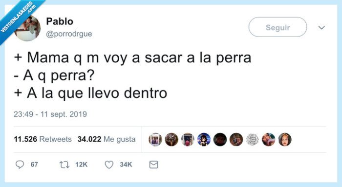 perra,salir,dentro