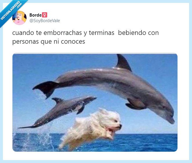 fiesta,salir,beber,amistades