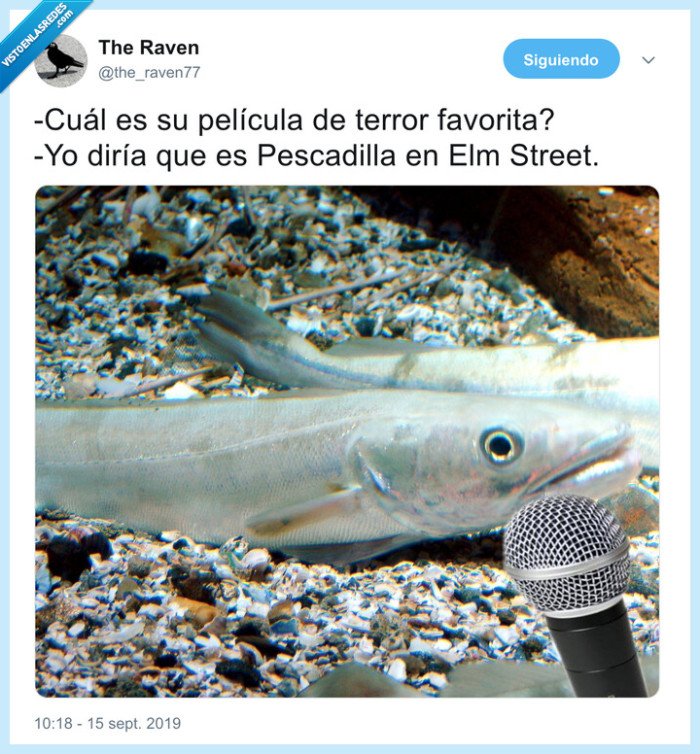 pescadilla,pez,pesadilla en elm street